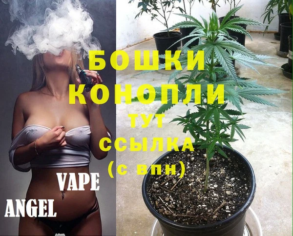 спайс Арсеньев