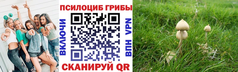 Галлюциногенные грибы прущие грибы  Можайск 